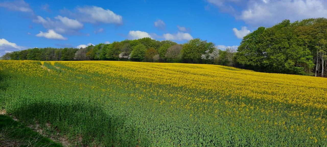 Ferienwohnung Wikingerland Langballig ภายนอก รูปภาพ