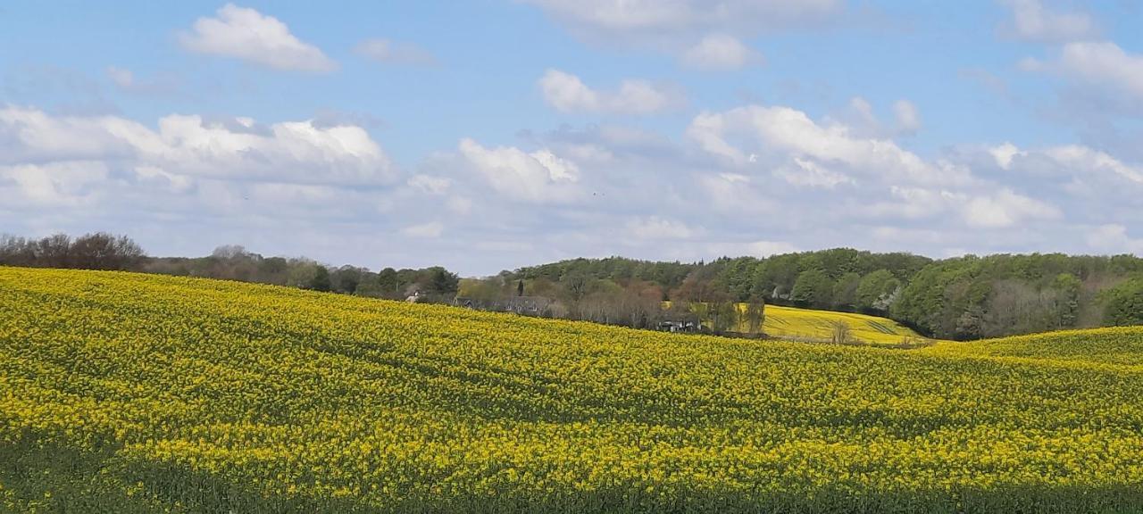 Ferienwohnung Wikingerland Langballig ภายนอก รูปภาพ