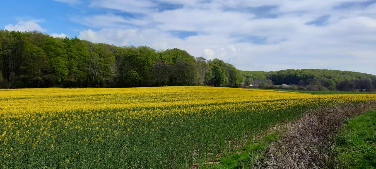 Ferienwohnung Wikingerland Langballig ภายนอก รูปภาพ